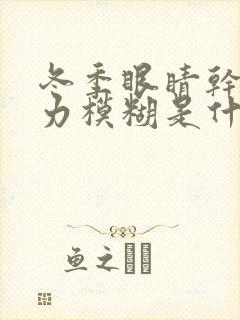 冬季眼睛干涩视力模糊是什么原因造成的封面