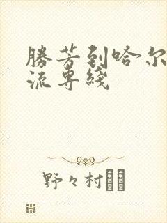 胜芳到哈尔滨物流专线