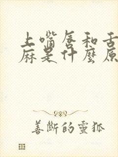 上嘴唇和舌头发麻是什么原因