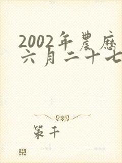 2002年农历六月二十七日出生的人命运