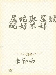 属蛇与属猴的婚配好不好封面