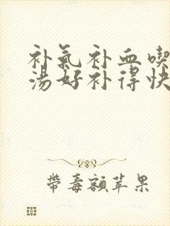 补气补血吃什么汤好补得快封面