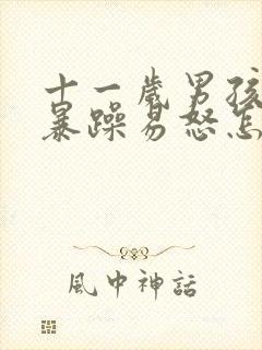 十一岁男孩脾气暴躁易怒怎么办