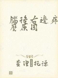 脑后右边疼是什么原因