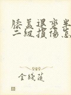 膝盖退变半月板二级损伤怎么治封面