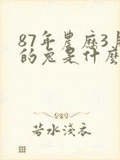 87年农历3月的兔是什么命封面