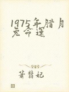 1975年腊月兔命运封面