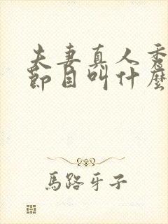 夫妻真人秀综艺节目叫什么