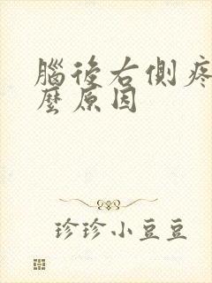 脑后右侧疼痛什么原因
