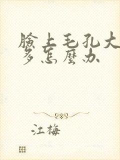 脸上毛孔大痘痘多怎么办