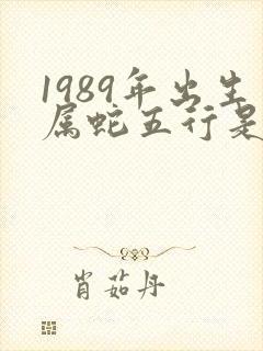 1989年出生属蛇五行是啥命封面