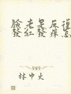 脸老是反复过敏发红发痒怎么办