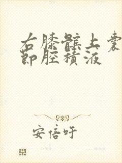 右膝髌上囊及关节腔积液封面