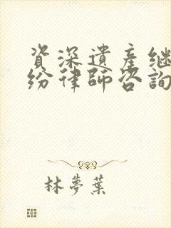 资深遗产继承纠纷律师咨询