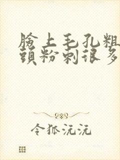 脸上毛孔粗大黑头粉刺很多怎么去除
