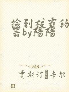 捡到校霸的遥控器by阳阳