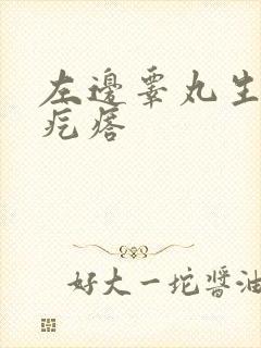 左边睾丸生了硬疙瘩