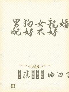 男狗女龙婚姻相配好不好