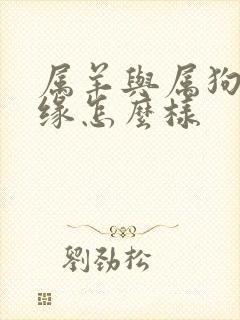 属羊与属狗的姻缘怎么样