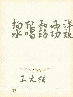 枸杞和西洋参泡水喝的功效与作用