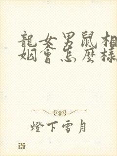龙女男鼠相配婚姻会怎么样