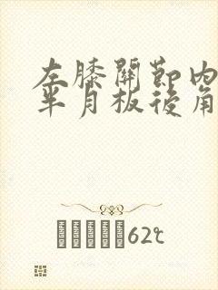 左膝关节内外侧半月板后角变性或损伤