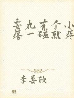 睾丸有个小硬疙瘩一碰就疼