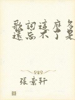 歌词这么多年我还忘不了是什么歌