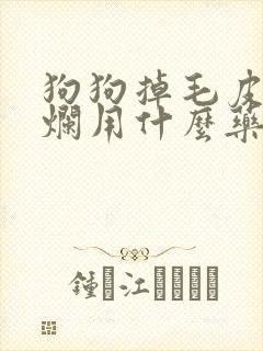 狗狗掉毛皮肤溃烂用什么药封面