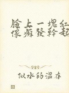 脸上一块红红的像癣发干起皮封面