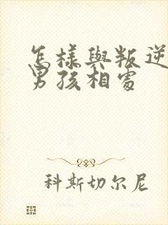 怎样与叛逆期的男孩相处