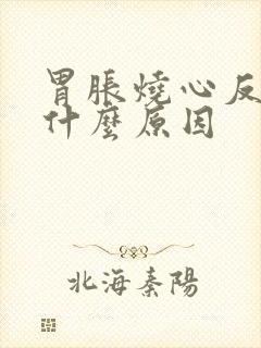 胃胀烧心反酸是什么原因