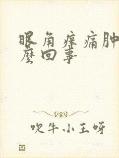 眼角痒痛肿是怎么回事封面