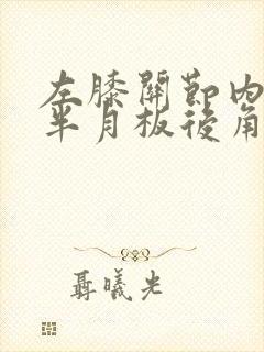 左膝关节内外侧半月板后角损伤
