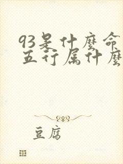 93是什么命 五行属什么