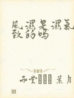 风湿是湿气重导致的吗