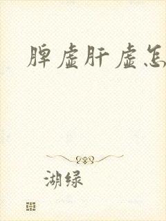 脾虚肝虚怎么办封面
