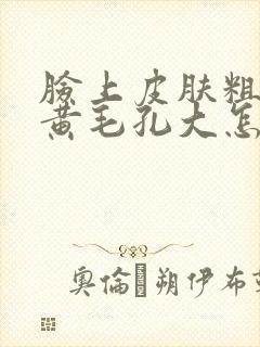 脸上皮肤粗糙暗黄毛孔大怎么护肤