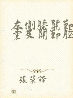 左侧膝关节髌上囊及关节腔积液