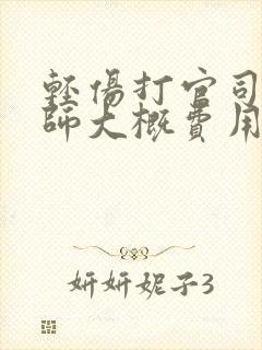 轻伤打官司请律师大概费用