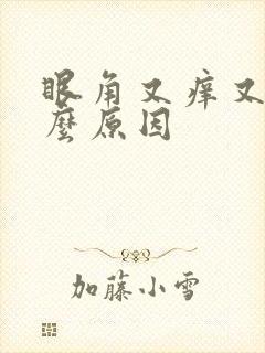 眼角又痒又痛什么原因
