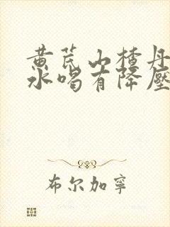黄芪山楂丹参泡水喝有降压作用吗