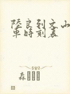 陆良到文山的客车时刻表封面