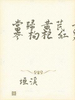 当归 黄芪 党参 枸杞 红枣封面