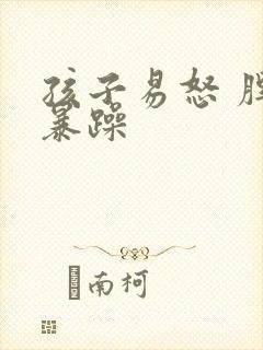 孩子易怒 脾气暴躁