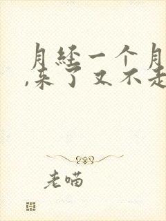 月经一个月不来,来了又不走封面