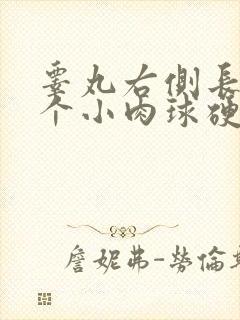 睾丸右侧长了一个小肉球硬硬的