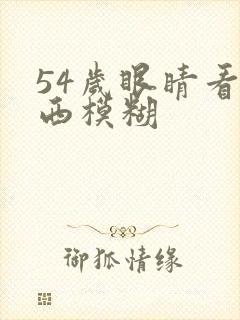 54岁眼睛看东西模糊