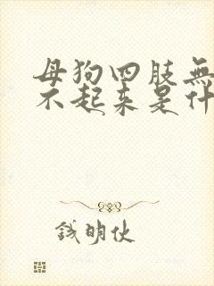 母狗四肢无力站不起来是什么病