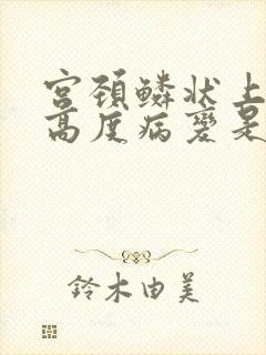 宫颈鳞状上皮内高度病变是什么意思?